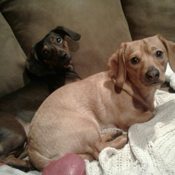 Buy mine, so I can buy yours.. 😊 - Picture 7 of 7